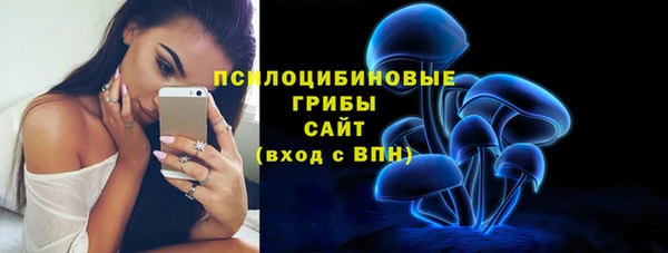 синтетический гашиш Арсеньев
