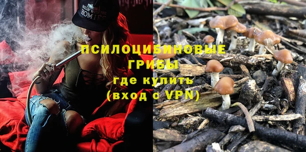 мяу мяу мука Баксан
