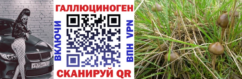 Галлюциногенные грибы GOLDEN TEACHER  Кировск 