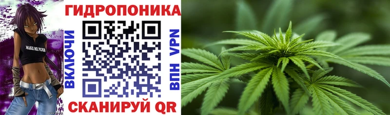 OMG ONION  дарнет шоп  Кировск  Шишки марихуана сатива 